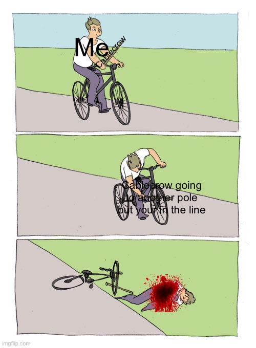 Cable crow be like: | Me; Cablecrow; Cablecrow going to another pole but your in the line | image tagged in memes,bike fall | made w/ Imgflip meme maker