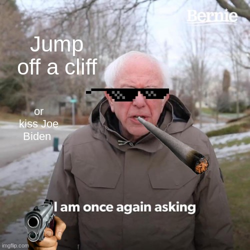 WTF | Jump off a cliff; or kiss Joe Biden | image tagged in memes,bernie i am once again asking for your support | made w/ Imgflip meme maker