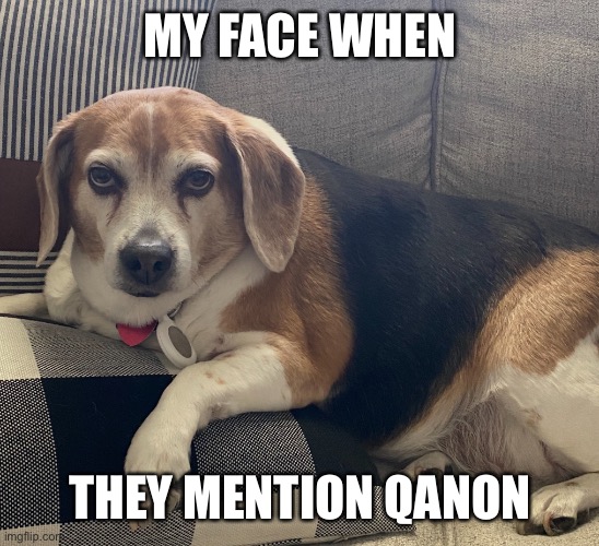 Judgment Beagle | MY FACE WHEN; THEY MENTION QANON | image tagged in grumpy beagle,judging you | made w/ Imgflip meme maker