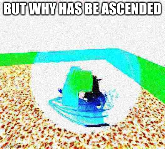 idiot ascends.mp4 | BUT WHY HAS BE ASCENDED | image tagged in idiot ascends mp4 | made w/ Imgflip meme maker