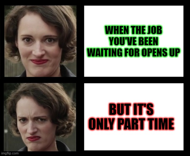 Fleabag disappointment | WHEN THE JOB YOU'VE BEEN WAITING FOR OPENS UP; BUT IT'S ONLY PART TIME | image tagged in fleabag disappointment | made w/ Imgflip meme maker