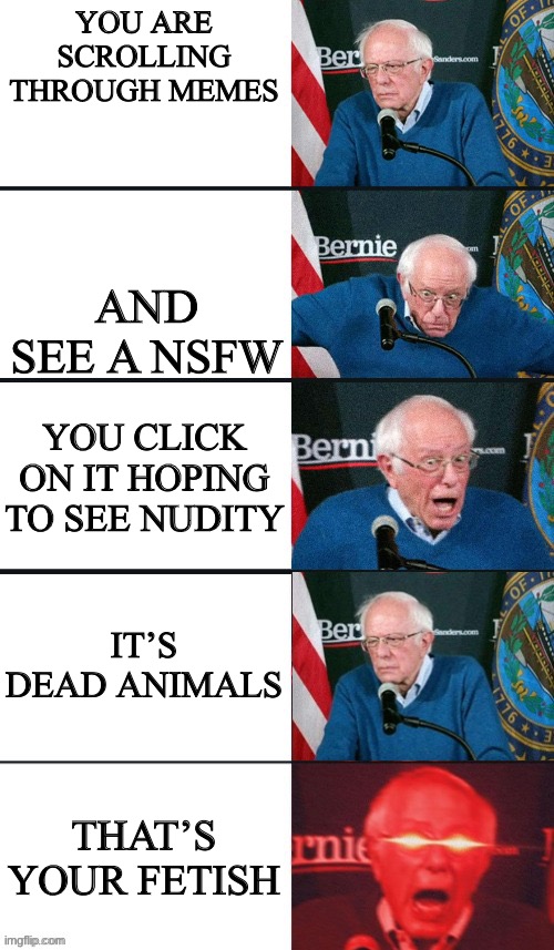 bernie sanders extra template | YOU ARE SCROLLING THROUGH MEMES; AND SEE A NSFW; YOU CLICK ON IT HOPING TO SEE NUDITY; IT’S DEAD ANIMALS; THAT’S YOUR FETISH | image tagged in bernie sanders extra template | made w/ Imgflip meme maker