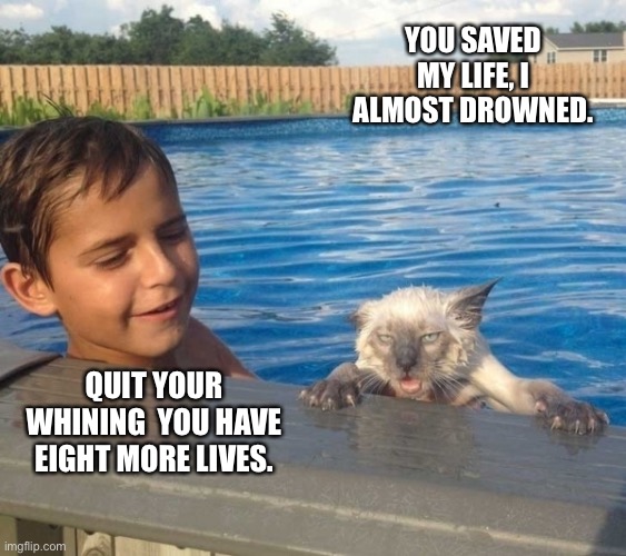 Wet Cat | YOU SAVED MY LIFE, I ALMOST DROWNED. QUIT YOUR WHINING  YOU HAVE EIGHT MORE LIVES. | image tagged in wet cat | made w/ Imgflip meme maker