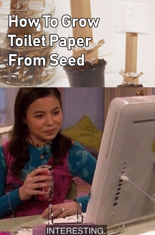 image tagged in icarly interesting,growth,toilet paper,seed,lol,how to | made w/ Imgflip meme maker