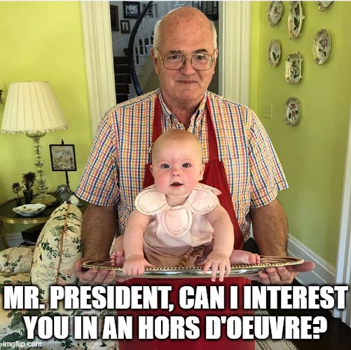 Mmm...Joe's favorite | MR. PRESIDENT, CAN I INTEREST
YOU IN AN HORS D'OEUVRE? | image tagged in joe biden,hors d'oeuvre,baby,memes | made w/ Imgflip meme maker