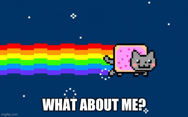 Nyan Cat | WHAT ABOUT ME? | image tagged in nyan cat | made w/ Imgflip meme maker