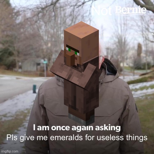 -_- | Not; Pls give me emeralds for useless things | image tagged in memes,bernie i am once again asking for your support | made w/ Imgflip meme maker