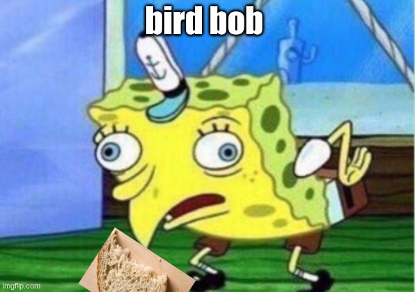 Mocking Spongebob | bird bob | image tagged in memes,mocking spongebob | made w/ Imgflip meme maker