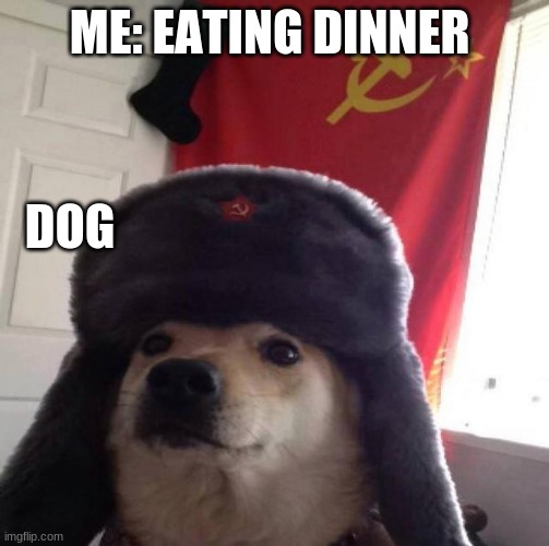 Doge want to eat | ME: EATING DINNER; DOG | image tagged in russian doge | made w/ Imgflip meme maker