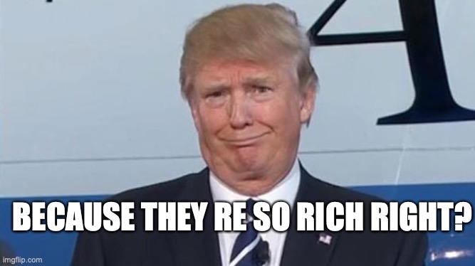 Trump Face | BECAUSE THEY RE SO RICH RIGHT? | image tagged in trump face | made w/ Imgflip meme maker