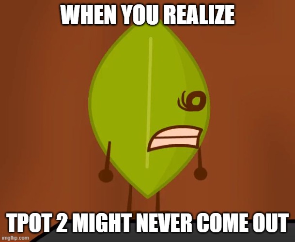 :,( | WHEN YOU REALIZE; TPOT 2 MIGHT NEVER COME OUT | image tagged in bfdi wat face | made w/ Imgflip meme maker