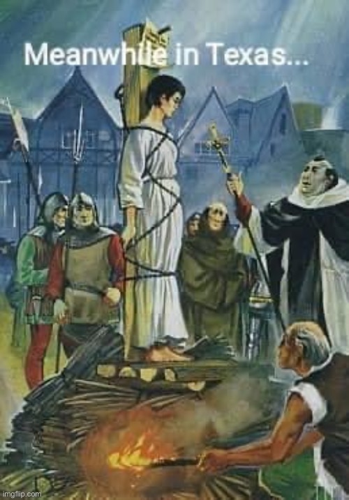 & collect $10,000 maga | image tagged in meanwhile in texas | made w/ Imgflip meme maker