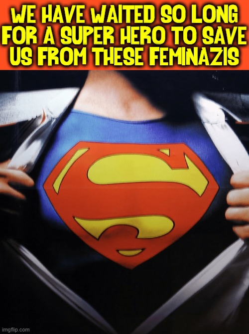 WE HAVE WAITED SO LONG
FOR A SUPER HERO TO SAVE
US FROM THESE FEMINAZIS | made w/ Imgflip meme maker