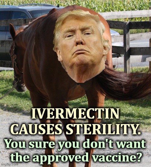 You might still get COVID with ivermectin, but you won't have head lice or children. | IVERMECTIN CAUSES STERILITY. You sure you don't want 
the approved vaccine? | image tagged in donald trump the horse's ass,covid,vaccine,anti vax | made w/ Imgflip meme maker