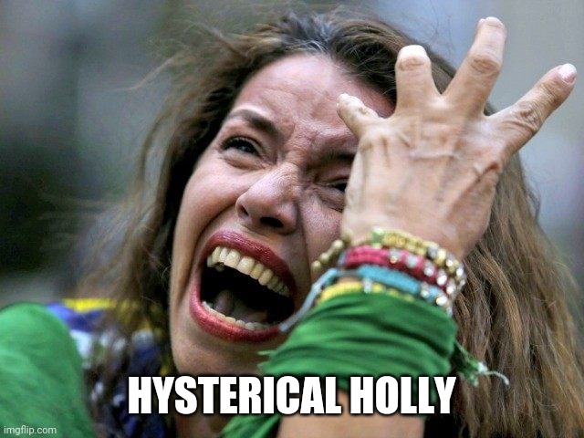 Hysterical Holly | HYSTERICAL HOLLY | image tagged in hysterical holly | made w/ Imgflip meme maker