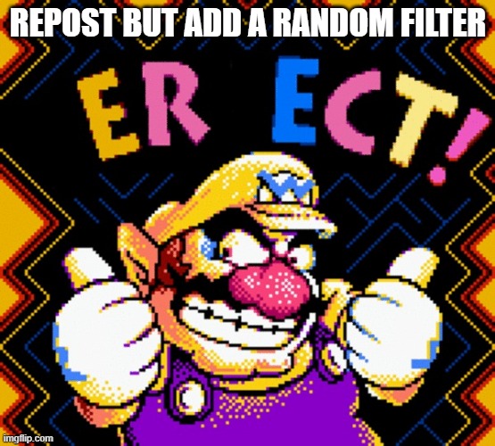 ERECT! | REPOST BUT ADD A RANDOM FILTER | image tagged in erect | made w/ Imgflip meme maker