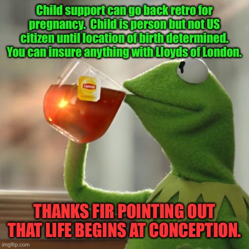 But That's None Of My Business Meme | Child support can go back retro for pregnancy.  Child is person but not US citizen until location of birth determined. You can insure anythi | image tagged in memes,but that's none of my business,kermit the frog | made w/ Imgflip meme maker