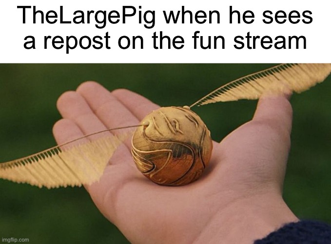 SNITCH | TheLargePig when he sees a repost on the fun stream | image tagged in the golden snitch,funny,memes | made w/ Imgflip meme maker