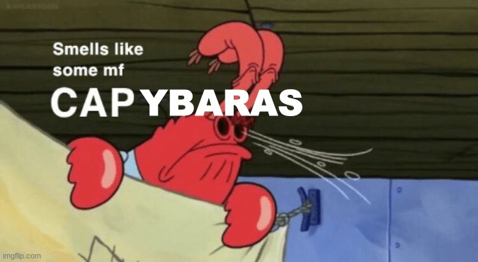 Smells like some mf CAPYBARAS | image tagged in smells like some mf capybaras | made w/ Imgflip meme maker