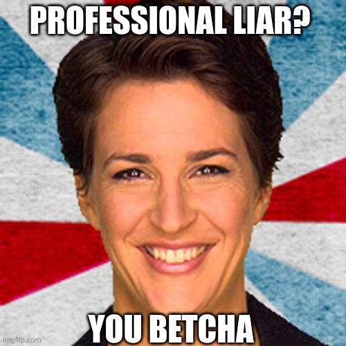 Getting paid, bitches! | PROFESSIONAL LIAR? YOU BETCHA | image tagged in rachel maddow neoliberal mainstream corporate media fake news pr | made w/ Imgflip meme maker