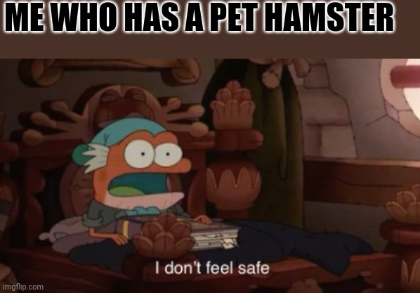 I don't feel safe | ME WHO HAS A PET HAMSTER | image tagged in i don't feel safe | made w/ Imgflip meme maker