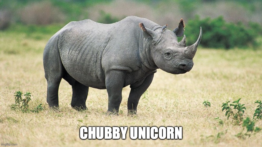 Rhino Tomorrow | CHUBBY UNICORN | image tagged in rhino tomorrow | made w/ Imgflip meme maker