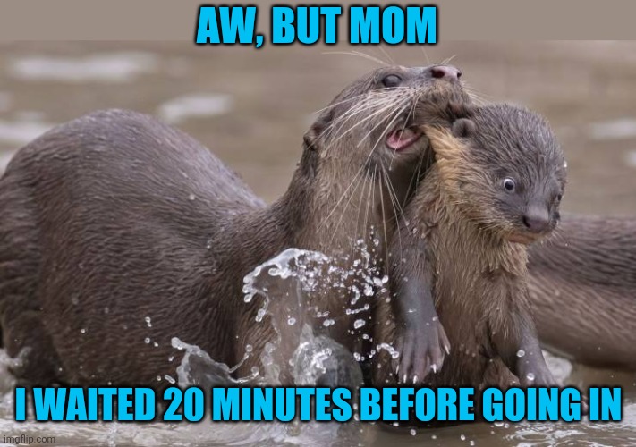 Moms | AW, BUT MOM; I WAITED 20 MINUTES BEFORE GOING IN | image tagged in memes,sheesh | made w/ Imgflip meme maker