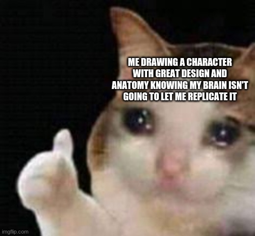 Approved crying cat | ME DRAWING A CHARACTER WITH GREAT DESIGN AND ANATOMY KNOWING MY BRAIN ISN'T GOING TO LET ME REPLICATE IT | image tagged in approved crying cat | made w/ Imgflip meme maker