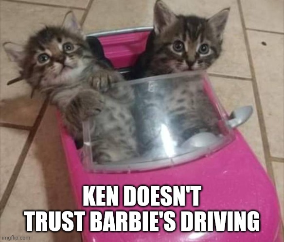Seatbelts | KEN DOESN'T TRUST BARBIE'S DRIVING | image tagged in memes,cats | made w/ Imgflip meme maker