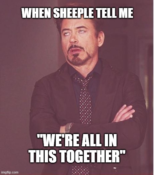 Face You Make Robert Downey Jr | WHEN SHEEPLE TELL ME; "WE'RE ALL IN THIS TOGETHER" | image tagged in memes,face you make robert downey jr | made w/ Imgflip meme maker