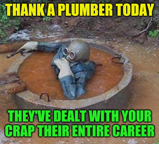 dive into septic | THANK A PLUMBER TODAY THEY'VE DEALT WITH YOUR CRAP THEIR ENTIRE CAREER | image tagged in dive into septic | made w/ Imgflip meme maker