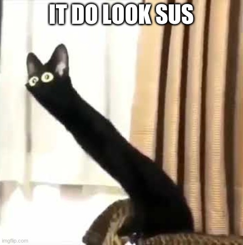 Long Neck Cat | IT DO LOOK SUS | image tagged in long neck cat | made w/ Imgflip meme maker