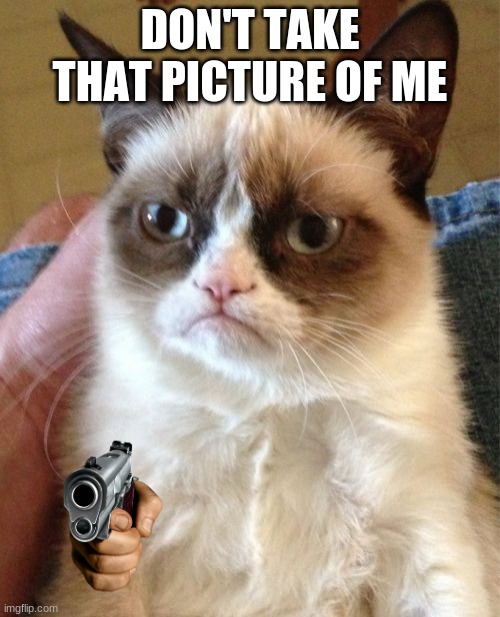 Grumpy Cat | DON'T TAKE THAT PICTURE OF ME | image tagged in memes,grumpy cat | made w/ Imgflip meme maker