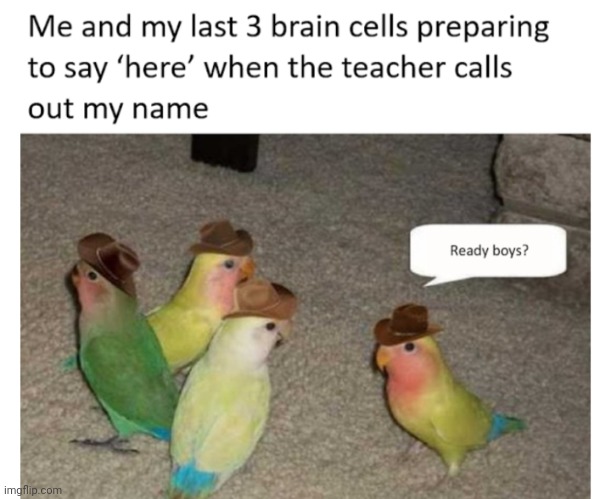 image tagged in funny memes | made w/ Imgflip meme maker