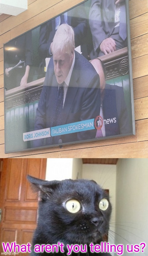 What aren't you telling us? | image tagged in boris johnson taliban spokesman,what has been seen cat | made w/ Imgflip meme maker