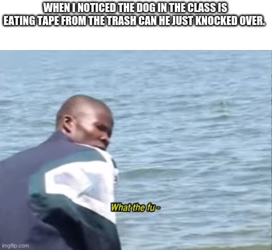 No more trash for you puppy | WHEN I NOTICED THE DOG IN THE CLASS IS EATING TAPE FROM THE TRASH CAN HE JUST KNOCKED OVER. | image tagged in what the fu- | made w/ Imgflip meme maker