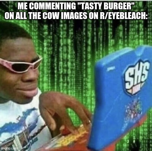 Black guy on computer | ME COMMENTING "TASTY BURGER" ON ALL THE COW IMAGES ON R/EYEBLEACH: | image tagged in black guy on computer | made w/ Imgflip meme maker