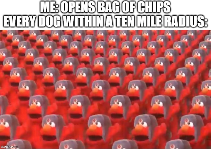 MemeClipz's https://imgflip.com/gif/5lwrrn was the inspiration for this XD | ME: OPENS BAG OF CHIPS

EVERY DOG WITHIN A TEN MILE RADIUS: | image tagged in elmo,russia,comrade elmo | made w/ Imgflip meme maker