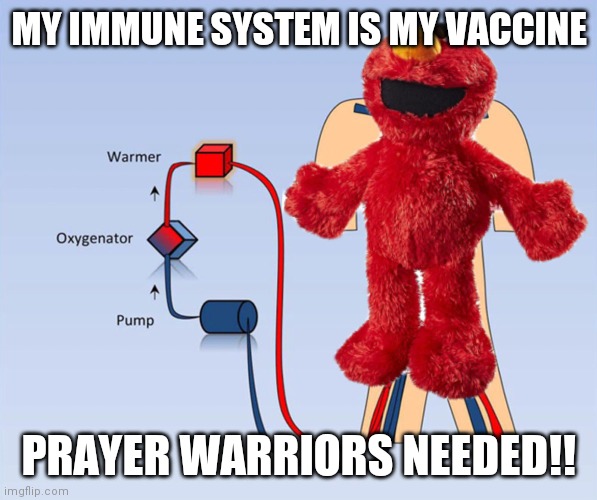 Tickle me ECMO | MY IMMUNE SYSTEM IS MY VACCINE; PRAYER WARRIORS NEEDED!! | image tagged in tickle me ecmo | made w/ Imgflip meme maker