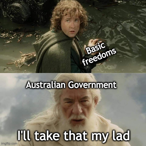 I'll take that my lad | Basic freedoms; Australian Government; I'll take that my lad | image tagged in lotr,lord of the rings | made w/ Imgflip meme maker