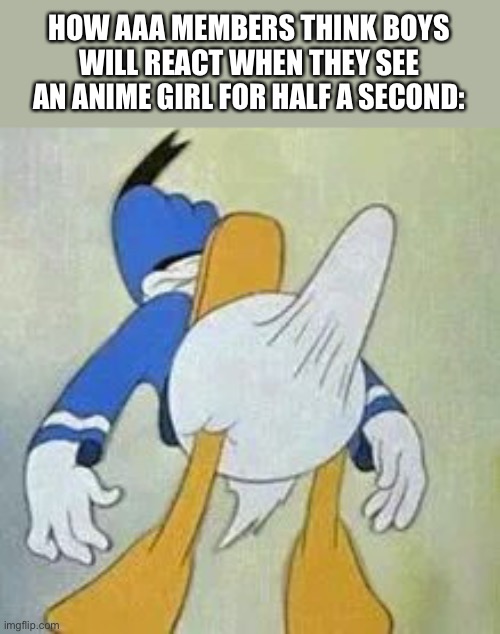 Yes | HOW AAA MEMBERS THINK BOYS WILL REACT WHEN THEY SEE AN ANIME GIRL FOR HALF A SECOND: | image tagged in truth | made w/ Imgflip meme maker