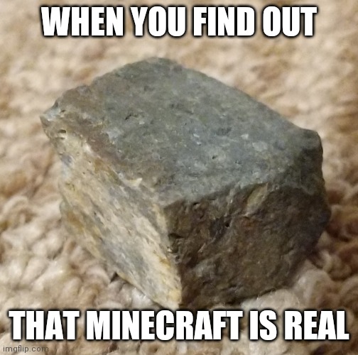 WHEN YOU FIND OUT; THAT MINECRAFT IS REAL | image tagged in minecraft,memes | made w/ Imgflip meme maker