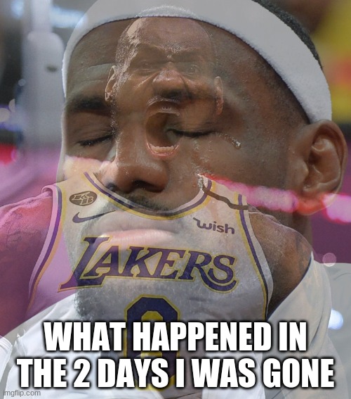Crying LeBron James | WHAT HAPPENED IN THE 2 DAYS I WAS GONE | image tagged in crying lebron james | made w/ Imgflip meme maker