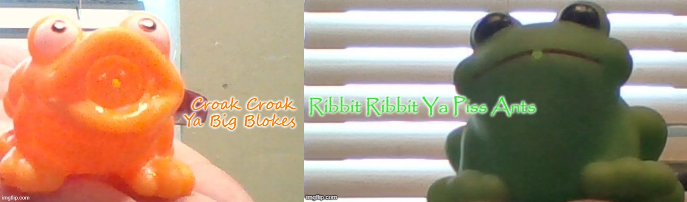 Forgo | image tagged in croak croak ya big blokes,ribbit ribbit ya piss ants picture ver | made w/ Imgflip meme maker