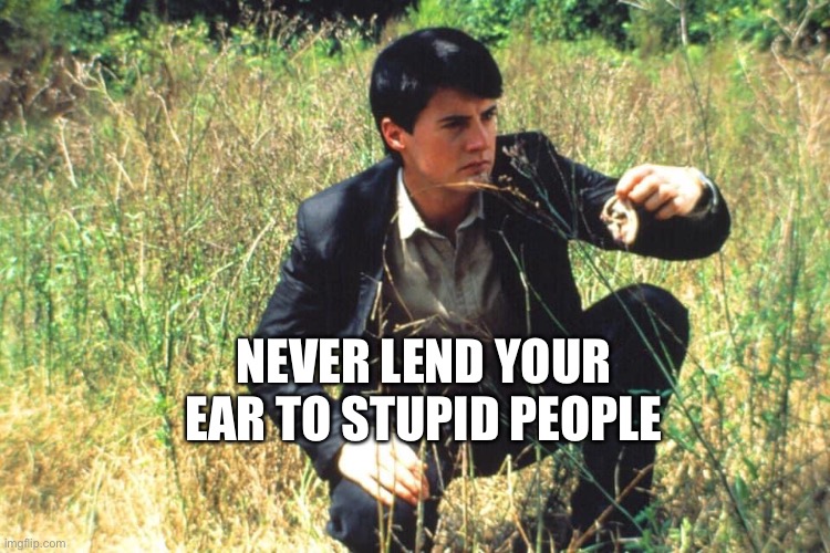NEVER LEND YOUR EAR TO STUPID PEOPLE | image tagged in stupid people | made w/ Imgflip meme maker