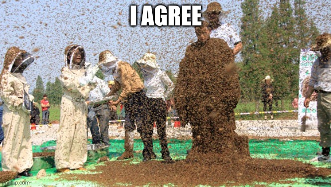 I AGREE | made w/ Imgflip meme maker