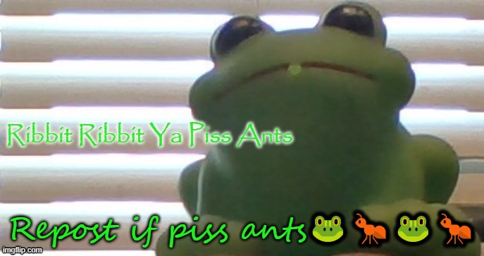 Ribbit Ribbit Ya Piss Ants (Picture Ver) | Repost if piss ants🐸🐜🐸🐜 | image tagged in ribbit ribbit ya piss ants picture ver | made w/ Imgflip meme maker