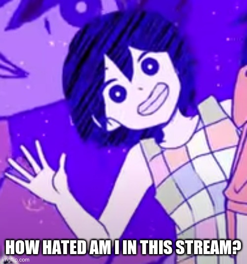 i d k | HOW HATED AM I IN THIS STREAM? | image tagged in kel wave | made w/ Imgflip meme maker