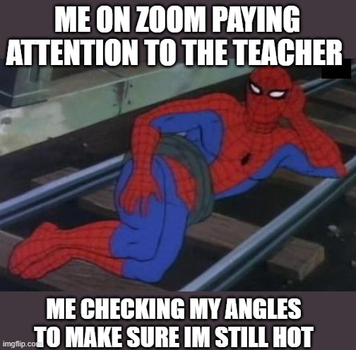 sexy person on zoom | ME ON ZOOM PAYING ATTENTION TO THE TEACHER; ME CHECKING MY ANGLES TO MAKE SURE IM STILL HOT | image tagged in memes,sexy railroad spiderman,spiderman | made w/ Imgflip meme maker