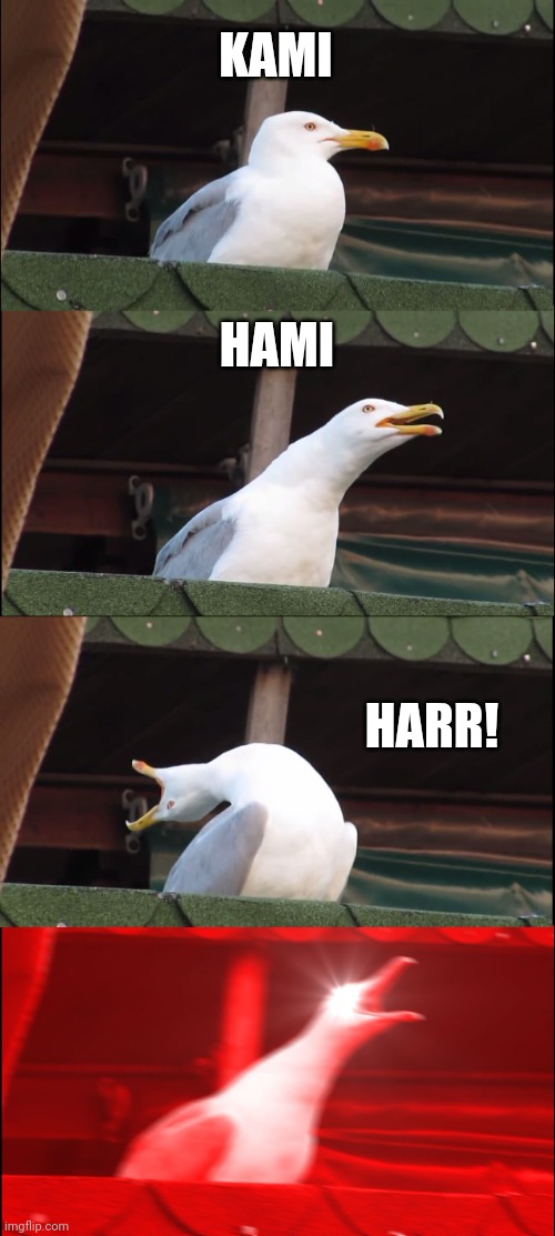 Inhaling Seagull Meme | KAMI; HAMI; HARR! | image tagged in memes,inhaling seagull,dragon ball z | made w/ Imgflip meme maker